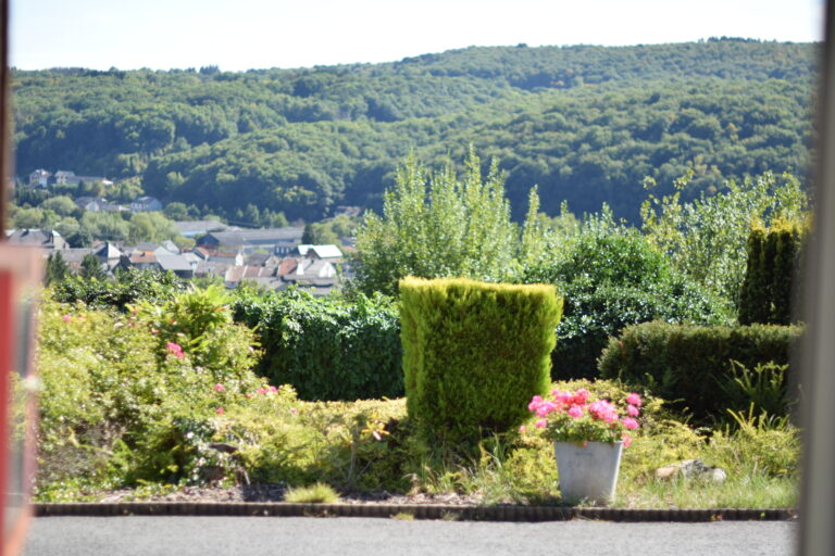 ehpad bogny sur meuse